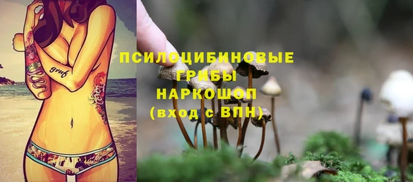 метамфетамин Покачи