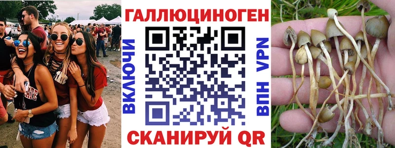 Псилоцибиновые грибы Psilocybine cubensis  мориарти состав  Артёмовск  МЕГА как войти 